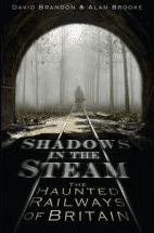 Book Cover to Shadow in the Steam